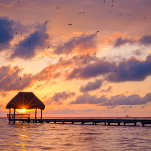 Río Lagartos All Inclusive + Hotel