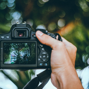 Tour de pajareo y fotografía privado de 3 horas