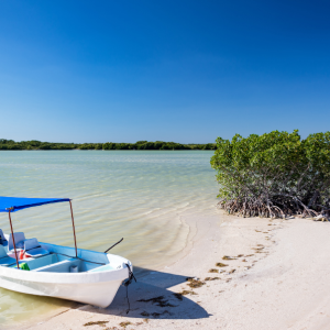 Las Coloradas and Río con transporte desde Mérida