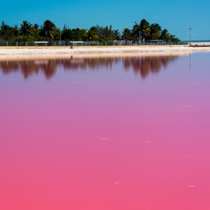 Las Coloradas and Río con transporte desde Valladolid